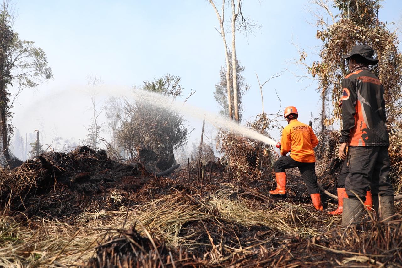 Strategi Penanganan Karhutla Jambi: Pemerintah Andalkan Sekat Bakar dan Pendinginan Area Terdampak